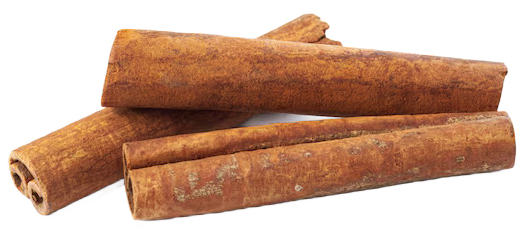 skorica